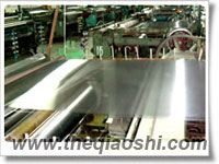 Stainless Steel Mesh